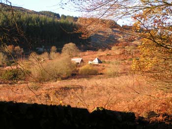 View from road
