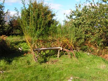 bench1