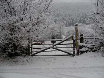 photo-4