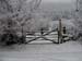 photo-4