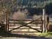 taliesin-gate